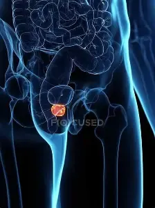 Prosta Peak Prostate Support